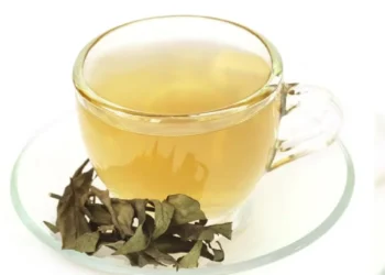 খালি পেটে চিরতার পানি, উপকার নাকি ক্ষতি