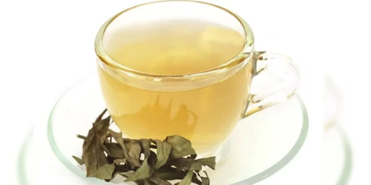 খালি পেটে চিরতার পানি, উপকার নাকি ক্ষতি