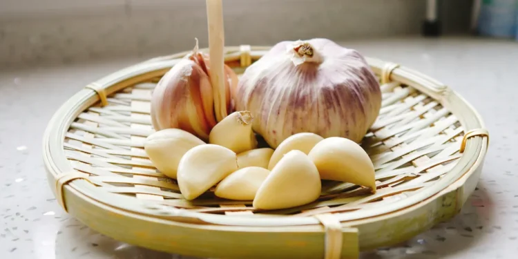 খালি পেটে রসুন খান, দীর্ঘদিন সুস্থ থাকুন।