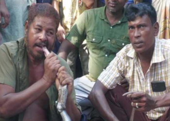 সাপুড়ের প্রাণ নেয়া সাপটিকে কাঁচা চিবিয়ে খেয়ে নিলো আরেক সাপুড়ে