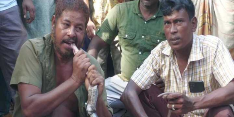 সাপুড়ের প্রাণ নেয়া সাপটিকে কাঁচা চিবিয়ে খেয়ে নিলো আরেক সাপুড়ে