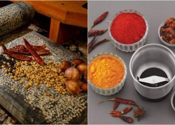 শিলপাটা নাকি মিক্সচার গ্রাইন্ডার—কোনটি স্বাস্থ্যকর? জানুন বিশেষজ্ঞদের মতামত