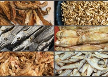 শুঁটকি মাছ উপকারী না ক্ষতিকর? কী বলছেন পুষ্টিবিদ