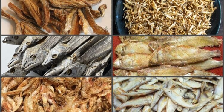 শুঁটকি মাছ উপকারী না ক্ষতিকর? কী বলছেন পুষ্টিবিদ