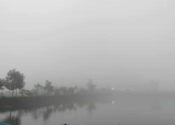 শ্রাবণে কুয়াশায় ছেয়ে গেছে পঞ্চগড়!