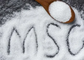 টেস্টিং সল্ট স্বাস্থ্যের জন্য উপকারী না ক্ষতিকর? কী বলছেন বিশেষজ্ঞরা