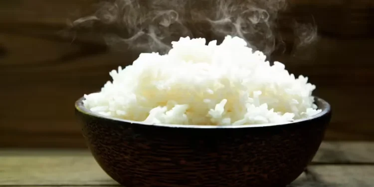 ভাত খাওয়ার সঠিক সময় কখন? জানালেন বিশেষজ্ঞ