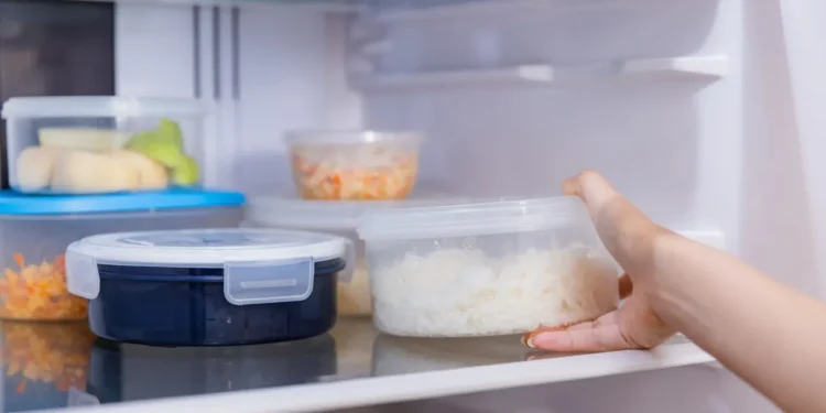 ভাত ফ্রিজে কতদিন রাখা নিরাপদ? যা জানা জরুরি