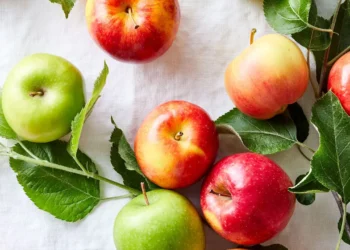 লাল না সবুজ আপেল, কোনটা বেশি উপকারী?