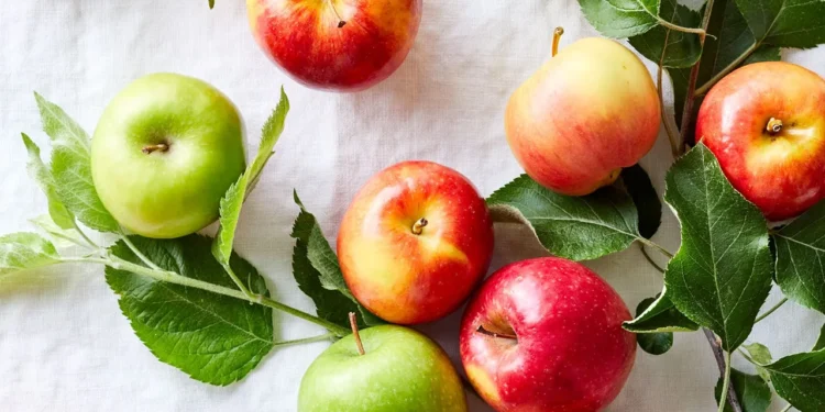 লাল না সবুজ আপেল, কোনটা বেশি উপকারী?