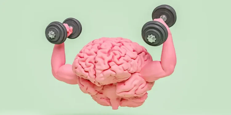 বয়স বাড়লেও ব্রেন ঝকঝকে রাখার ৪ উপদেশ নিউরোলজিস্টদের