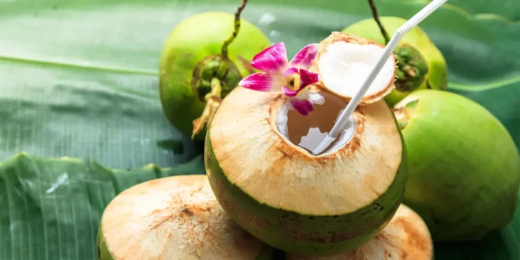 যাদের জন্য ডাবের পানি খাওয়া উচিত নয়