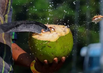 ডাবের পানি কি সবার জন্য উপকারী নয়? কী বলছেন চিকিৎসকরা