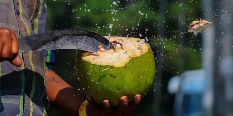 ডাবের পানি কি সবার জন্য উপকারী নয়? কী বলছেন চিকিৎসকরা