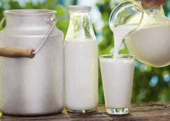 দুধের সঙ্গে ভুলেও খাবেন না যে ৬টি খাবার