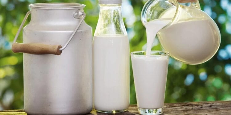 দুধের সঙ্গে ভুলেও খাবেন না যে ৬টি খাবার
