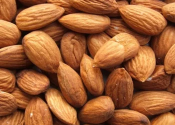 একাধিক উপকারিতা কাঠবাদামের, যাদের জন্য ক্ষতিকর