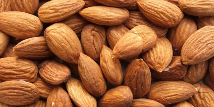 একাধিক উপকারিতা কাঠবাদামের, যাদের জন্য ক্ষতিকর