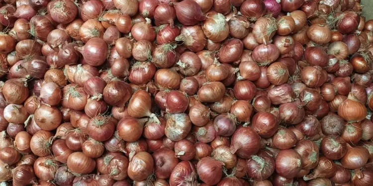 ভোমরা স্থলবন্দর দিয়ে ভারতীয় পেঁয়াজ আমদানি শুরু