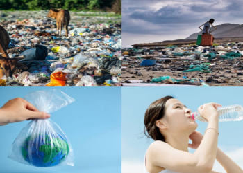 নীরবে মানুষের রক্ত, মস্তিষ্ক ও অস্থিমজ্জায় ঢুকছে প্লাস্টিক কণা