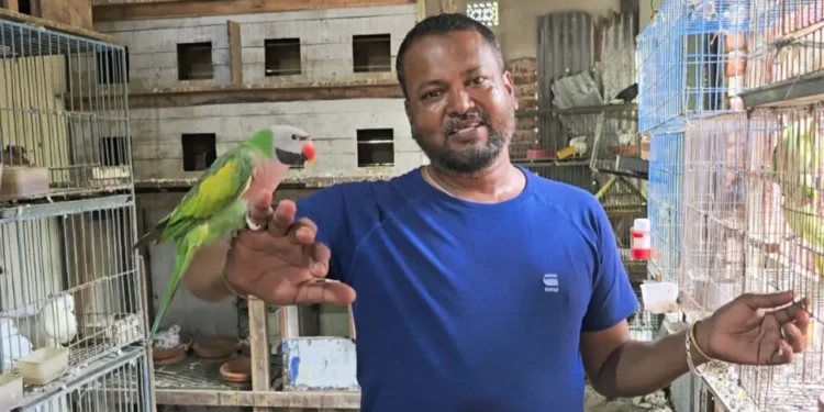 টিয়া-ময়না পুষে মফিজুল এখন কোটিপতি