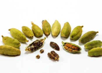 এলাচেই লুকিয়ে আছে ১০ রোগের সহজ সমাধান