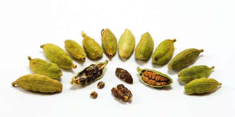 এলাচেই লুকিয়ে আছে ১০ রোগের সহজ সমাধান