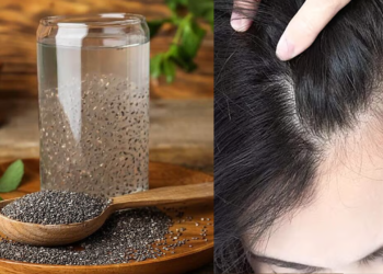 নতুন চুল গজানোর জন্য চিয়া সিড খাওয়ার সঠিক সময় কখন?