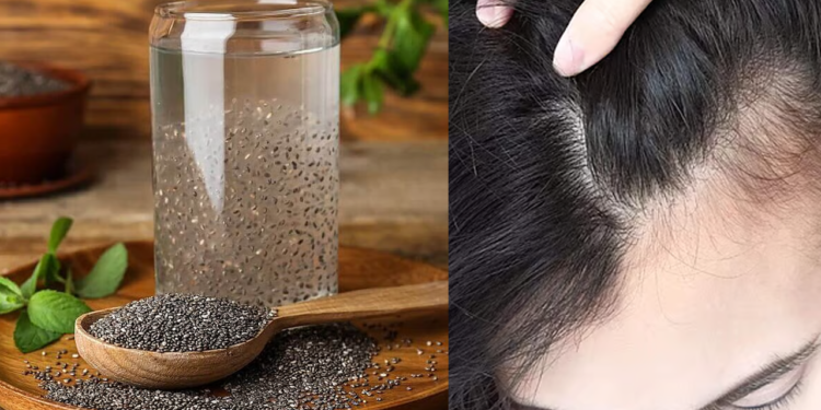 নতুন চুল গজানোর জন্য চিয়া সিড খাওয়ার সঠিক সময় কখন?