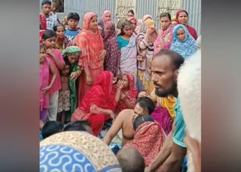 দুই নাতিকে বাঁচাতে গিয়ে পানিতে ডুবে প্রাণ গেল দাদির