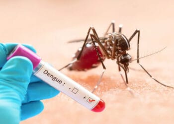 চব্বিশ ঘণ্টায় ডেঙ্গুতে ৫ জনের মৃত্যু