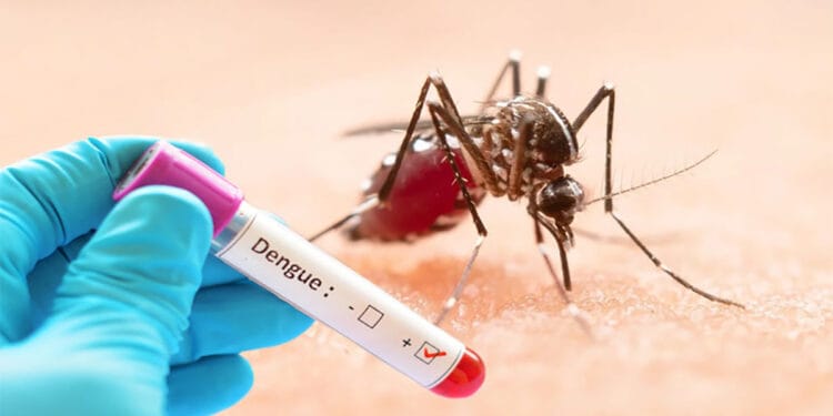 চব্বিশ ঘণ্টায় ডেঙ্গুতে ৫ জনের মৃত্যু