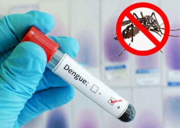 ডেঙ্গুতে ৩ জনের মৃত্যু, হাসপাতালে ভর্তি ৭৩৫