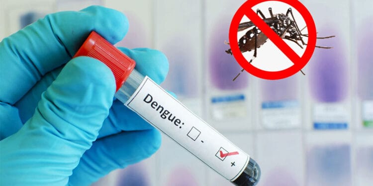 ডেঙ্গুতে ৩ জনের মৃত্যু, হাসপাতালে ভর্তি ৭৩৫