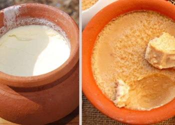 ভারী খাবারের পর মিষ্টি নাকি টক দই ভালো? যা বলছেন পুষ্টিবিদ