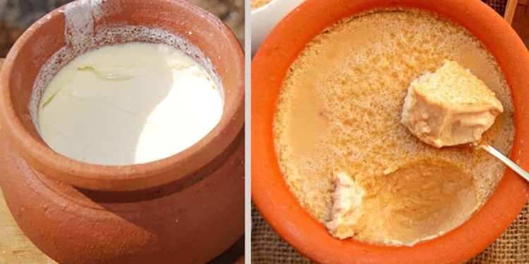 ভারী খাবারের পর মিষ্টি নাকি টক দই ভালো? যা বলছেন পুষ্টিবিদ