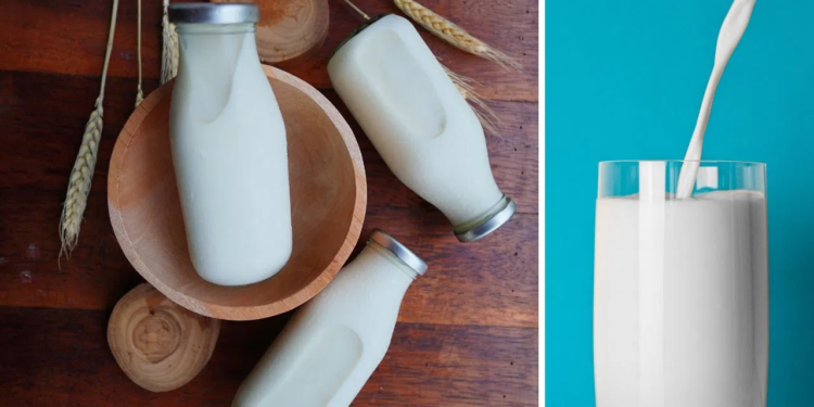 রাতে ঘুমানোর আগে এক গ্লাস গরম দুধ খেলে কী হয়?