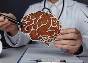 মস্তিষ্ককে দীর্ঘদিন তরতাজা রাখবে যে ৫ অভ্যাস