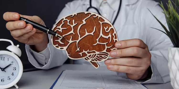 মস্তিষ্ককে দীর্ঘদিন তরতাজা রাখবে যে ৫ অভ্যাস