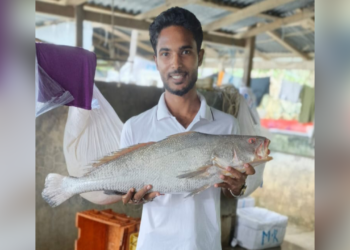 ৪ কেজি ৯০০ গ্রাম ওজনের এক পোয়া মাছ বিক্রি ৮০ হাজার টাকায়