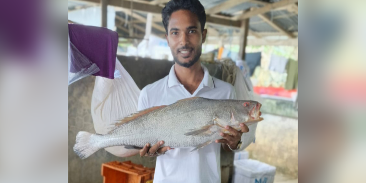 ৪ কেজি ৯০০ গ্রাম ওজনের এক পোয়া মাছ বিক্রি ৮০ হাজার টাকায়