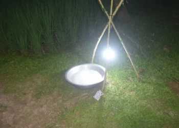 পোকা দমনে ‘আলোক ফাঁদ’, কমছে কীটনাশকের ব্যবহার