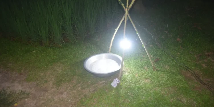 পোকা দমনে ‘আলোক ফাঁদ’, কমছে কীটনাশকের ব্যবহার