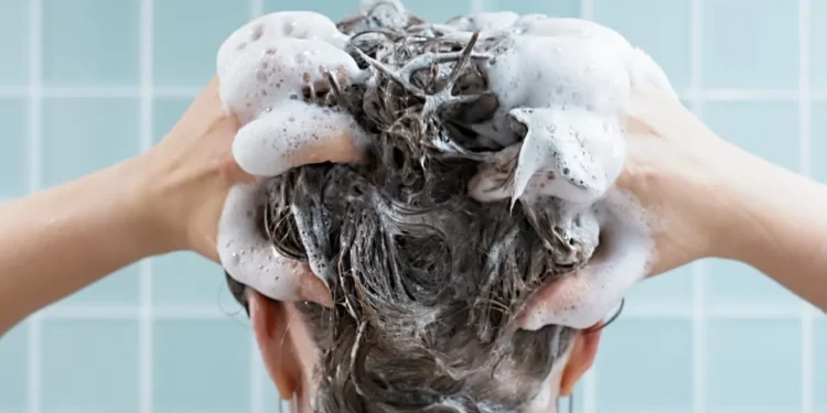 রোজ শ্যাম্পু করছেন? চুলের জন্য ভালো না ক্ষতিকর জেনে নিন