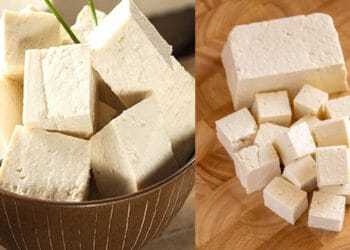 সকালে টোফু নাকি পনির, কোনটি খেলে বেশি লাভ?