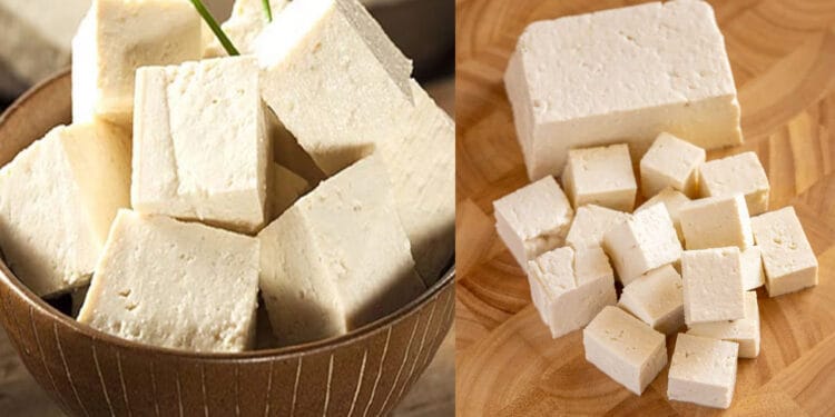 সকালে টোফু নাকি পনির, কোনটি খেলে বেশি লাভ?