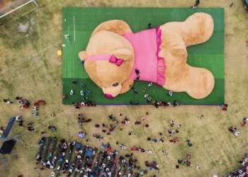 দীর্ঘ ৬ বছরেরও যে বিশ্বরেকর্ড কেউ ভাঙতে পারেনি