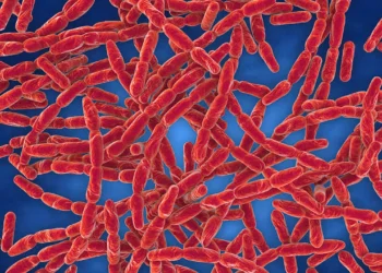 রংপুরে ৮ জনের শরীরে অ্যানথ্রাক্স শনাক্ত, লক্ষণ ‘চামড়ায় ঘা’