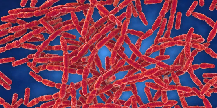 রংপুরে ৮ জনের শরীরে অ্যানথ্রাক্স শনাক্ত, লক্ষণ ‘চামড়ায় ঘা’