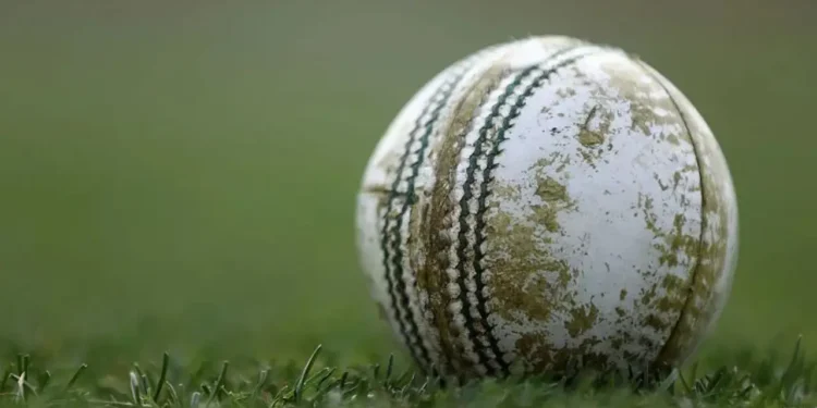 অস্ট্রেলিয়ায় বলের আঘাতে ১৭ বছর বয়সী ক্রিকেটারের মৃত্যু